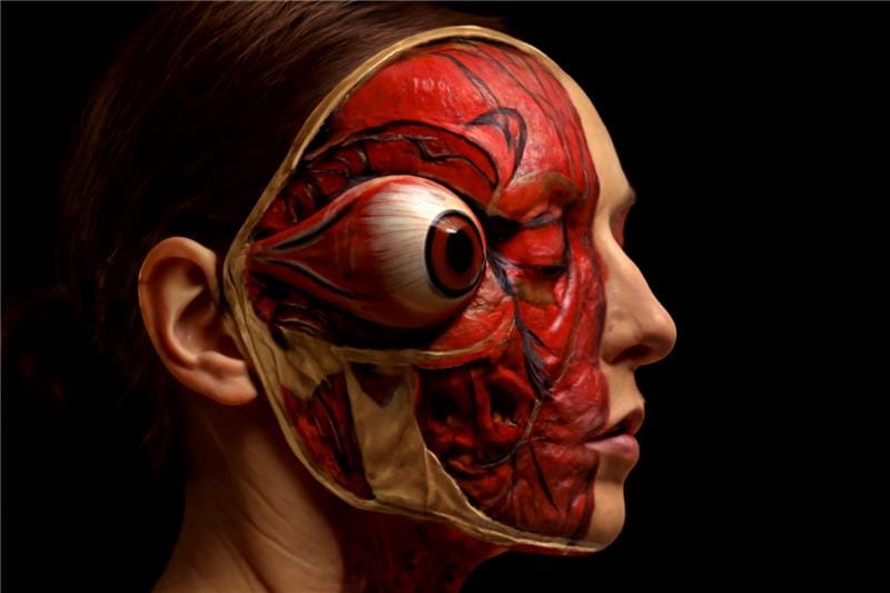 Detailed study of eye anatomy, diseases, and treatments critical for the NRE exam.